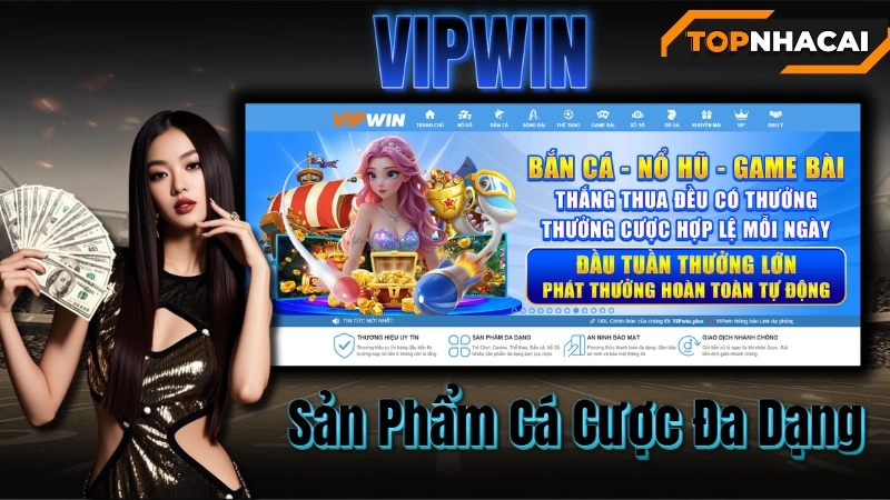 Nhà cái vipwin - Sản Phẩm Cá Cược Đa Dạng – Thế Giới Giải Trí Bất Tận